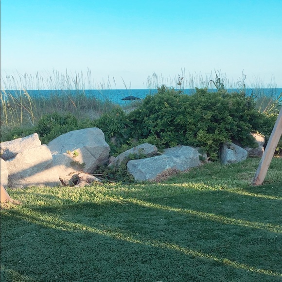 Meet your Posher, Gavin - Picture 1 of 1